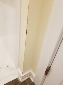 rust in the bathroom wall