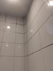 Grouting needs a good scrub.