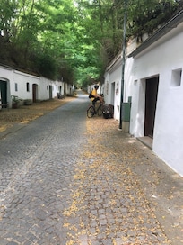 Poysdorf mit dem Rad
