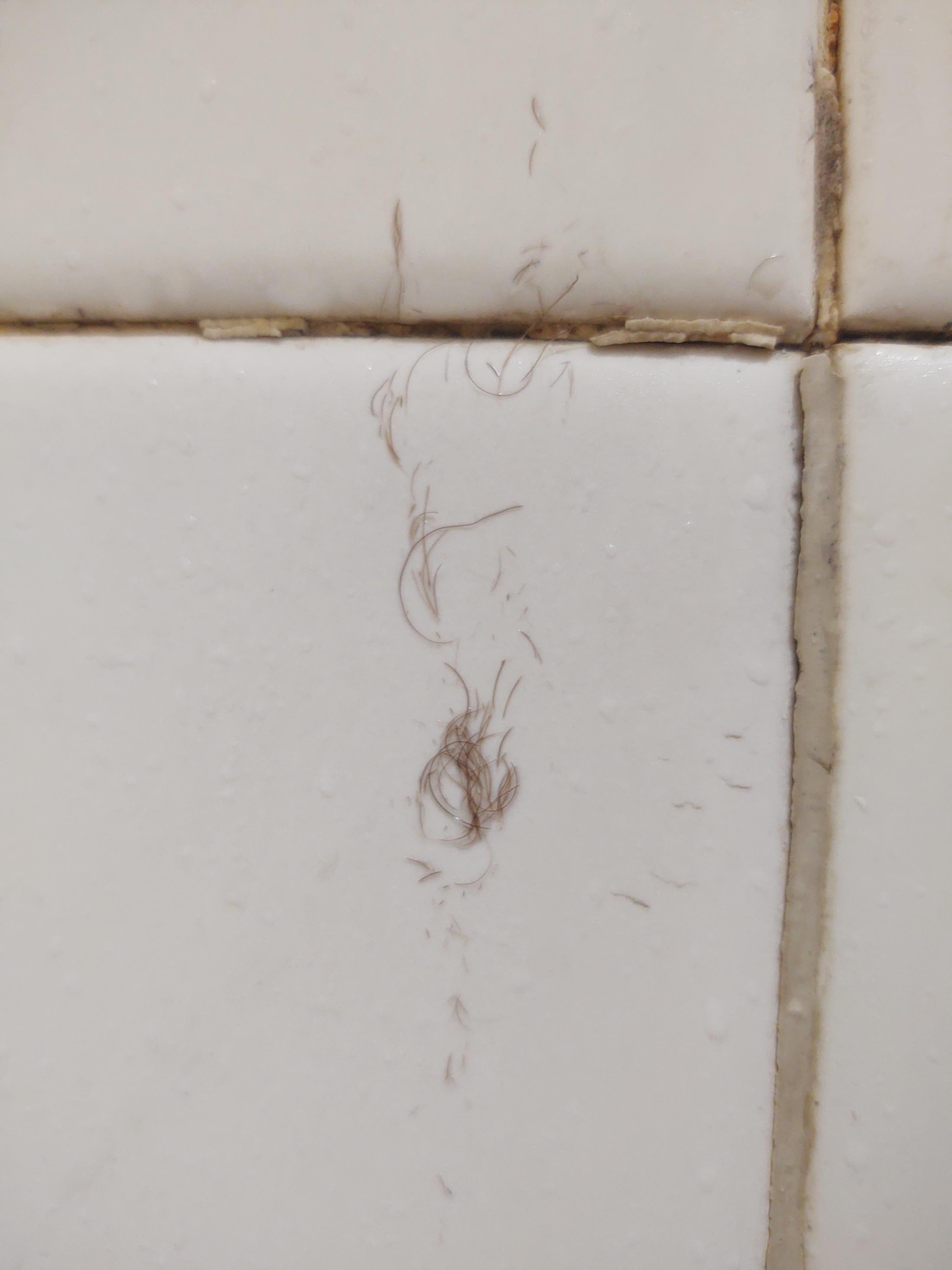 Hair left in shower