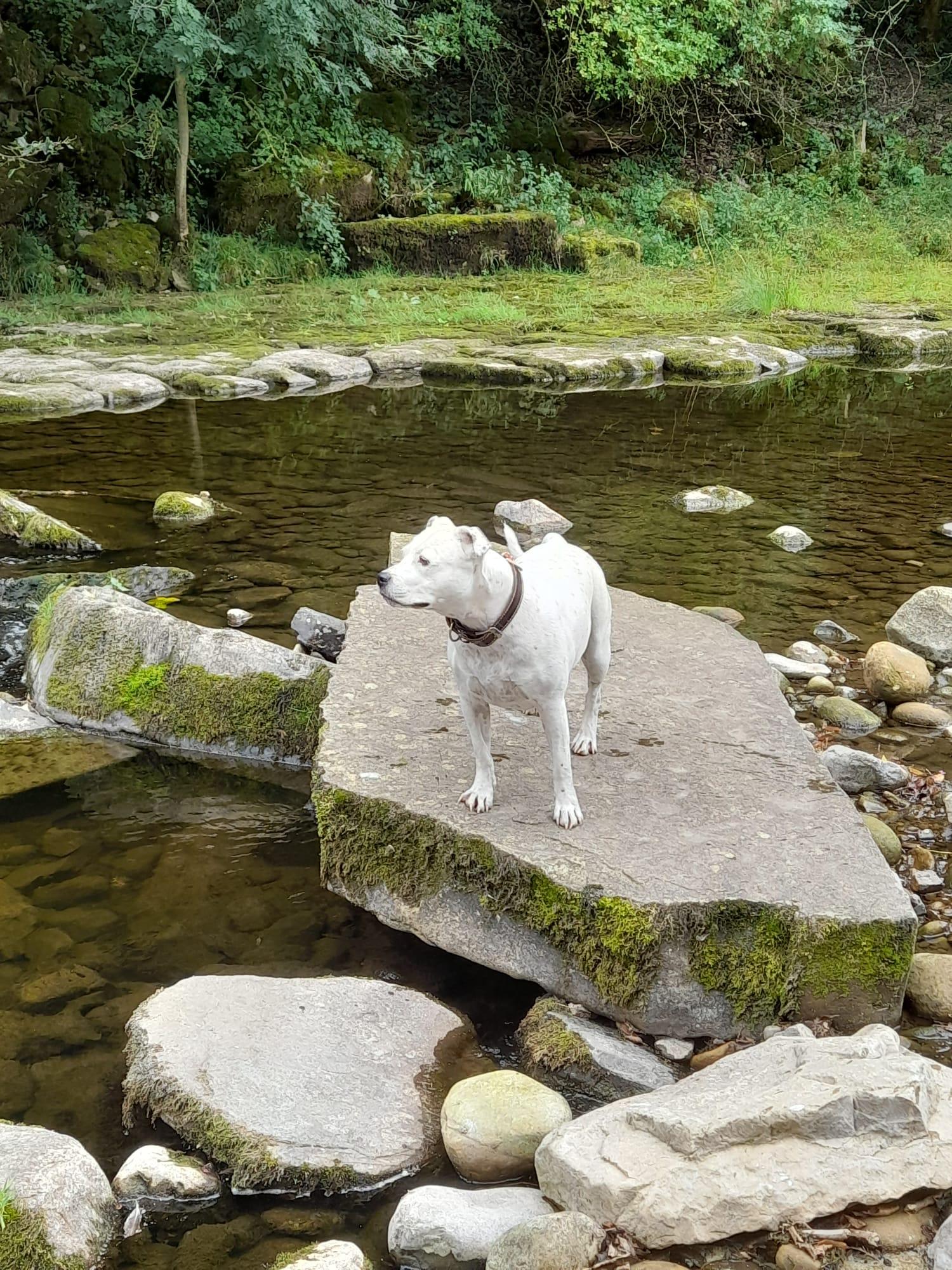 River walk 