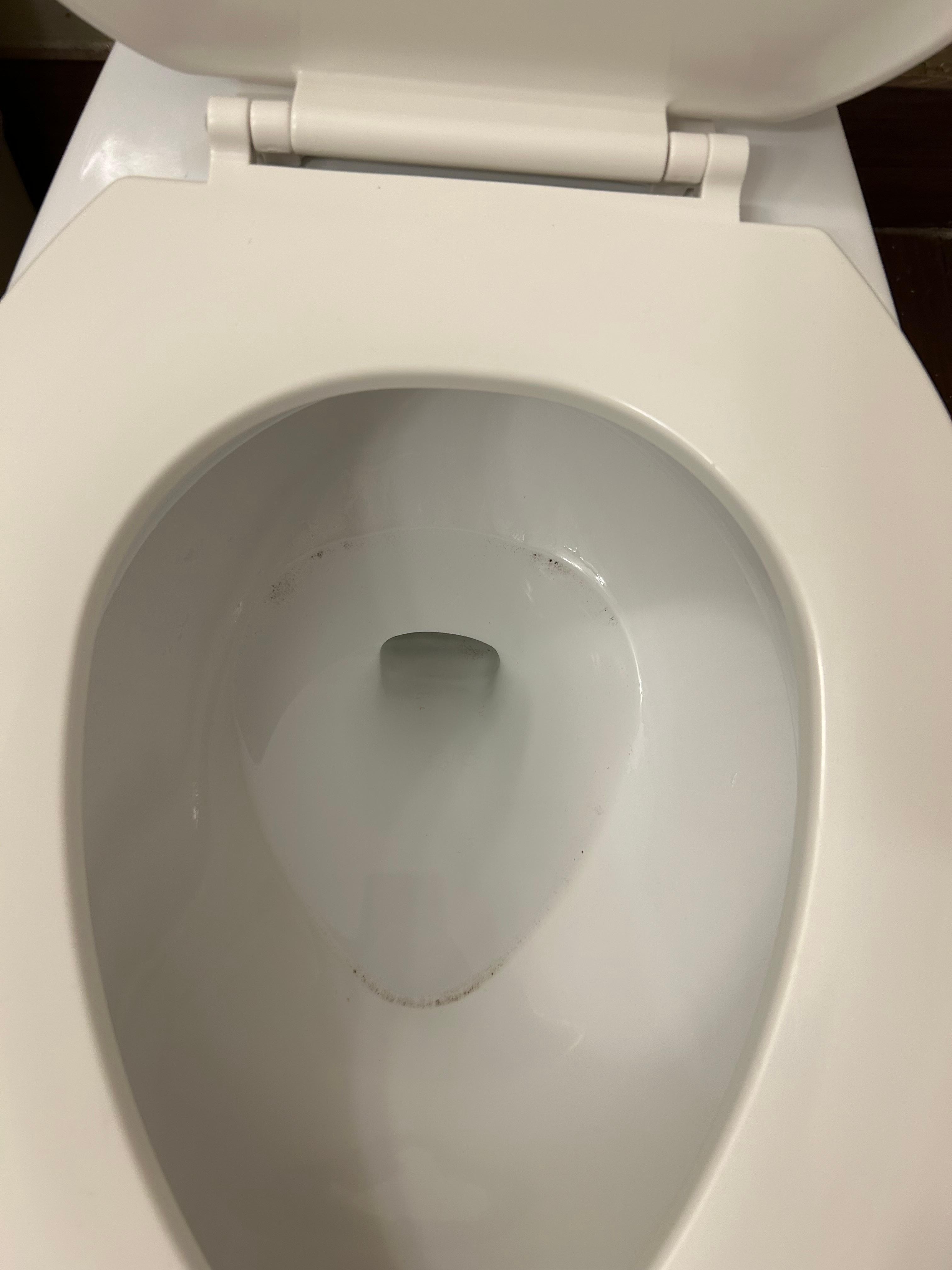 Toilet ring - takes more than a few days typically for that to appear