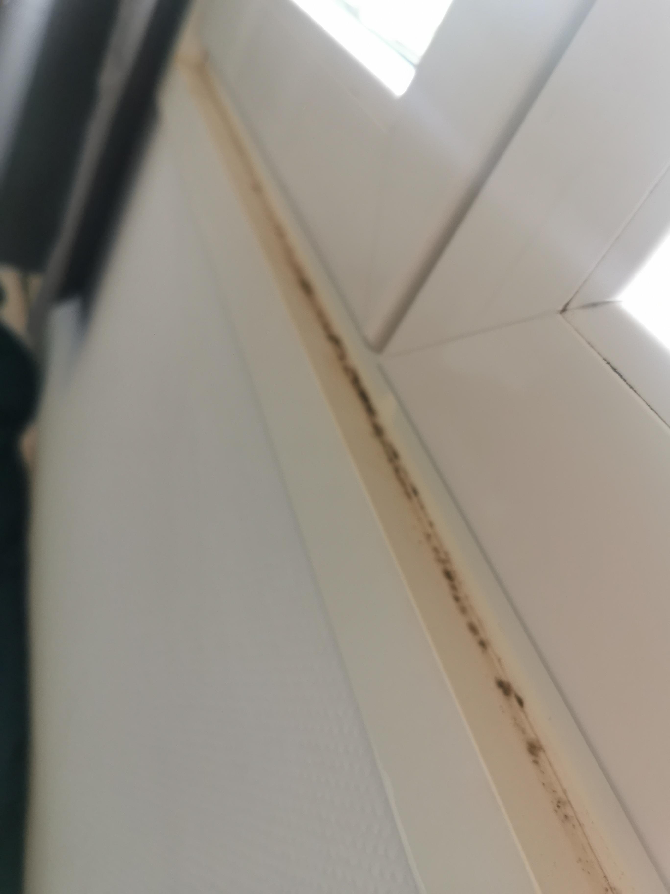 Moho y mal olor en el dormitorio no pudiendo abrirse la ventana 