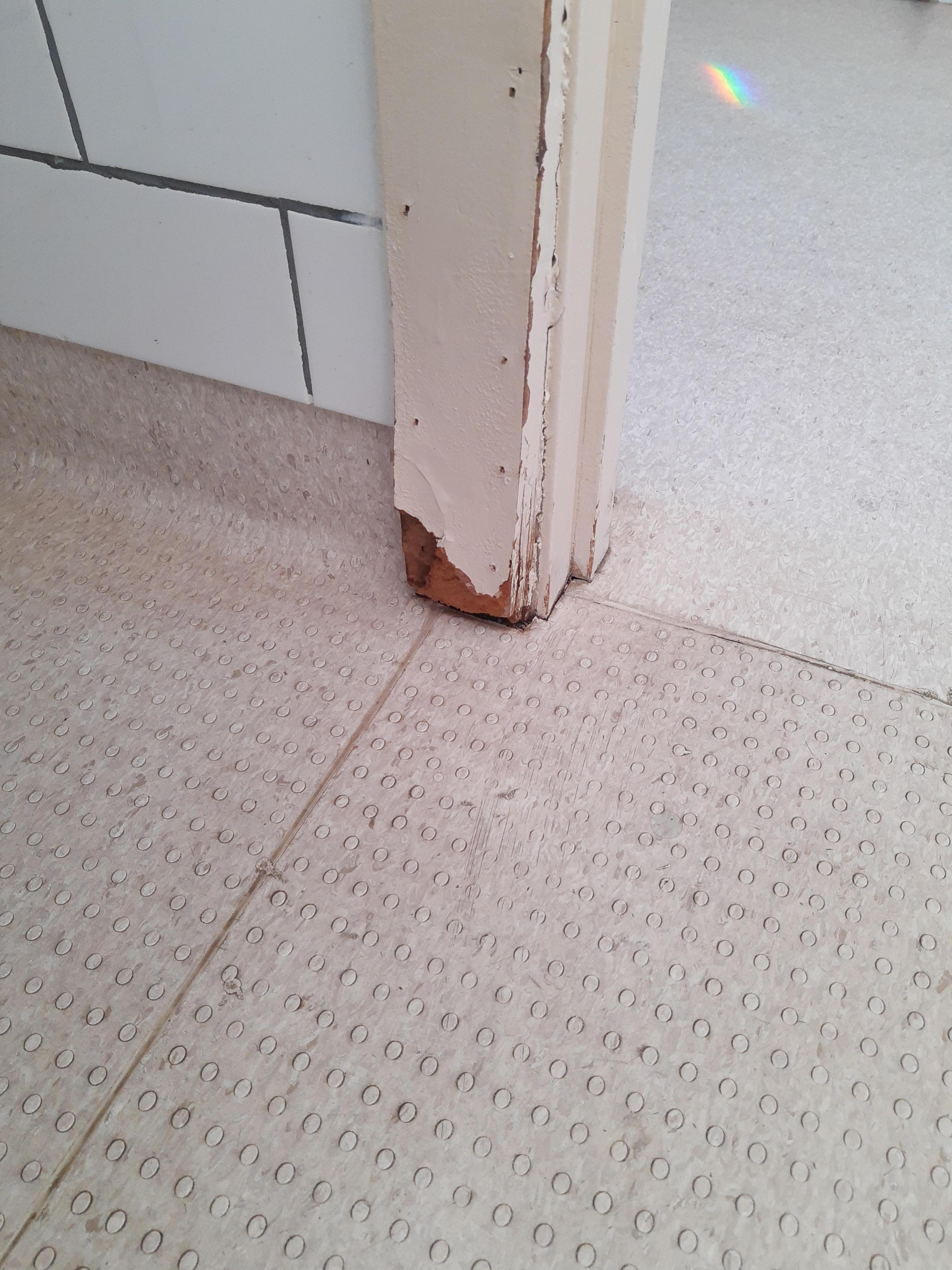 Wet rot in bathroom