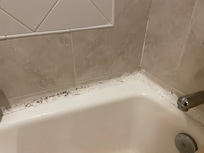Mould in bathroom