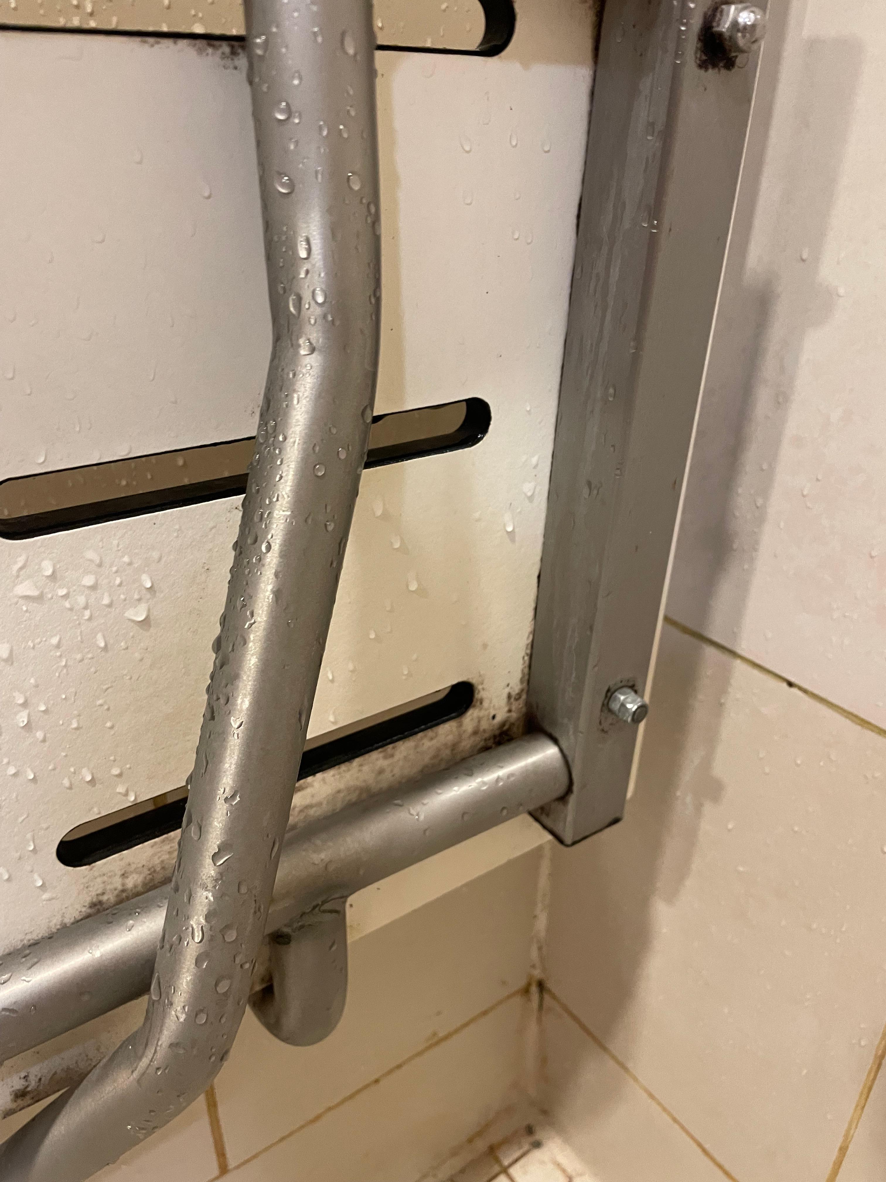 Mouldy, dirty shower seat