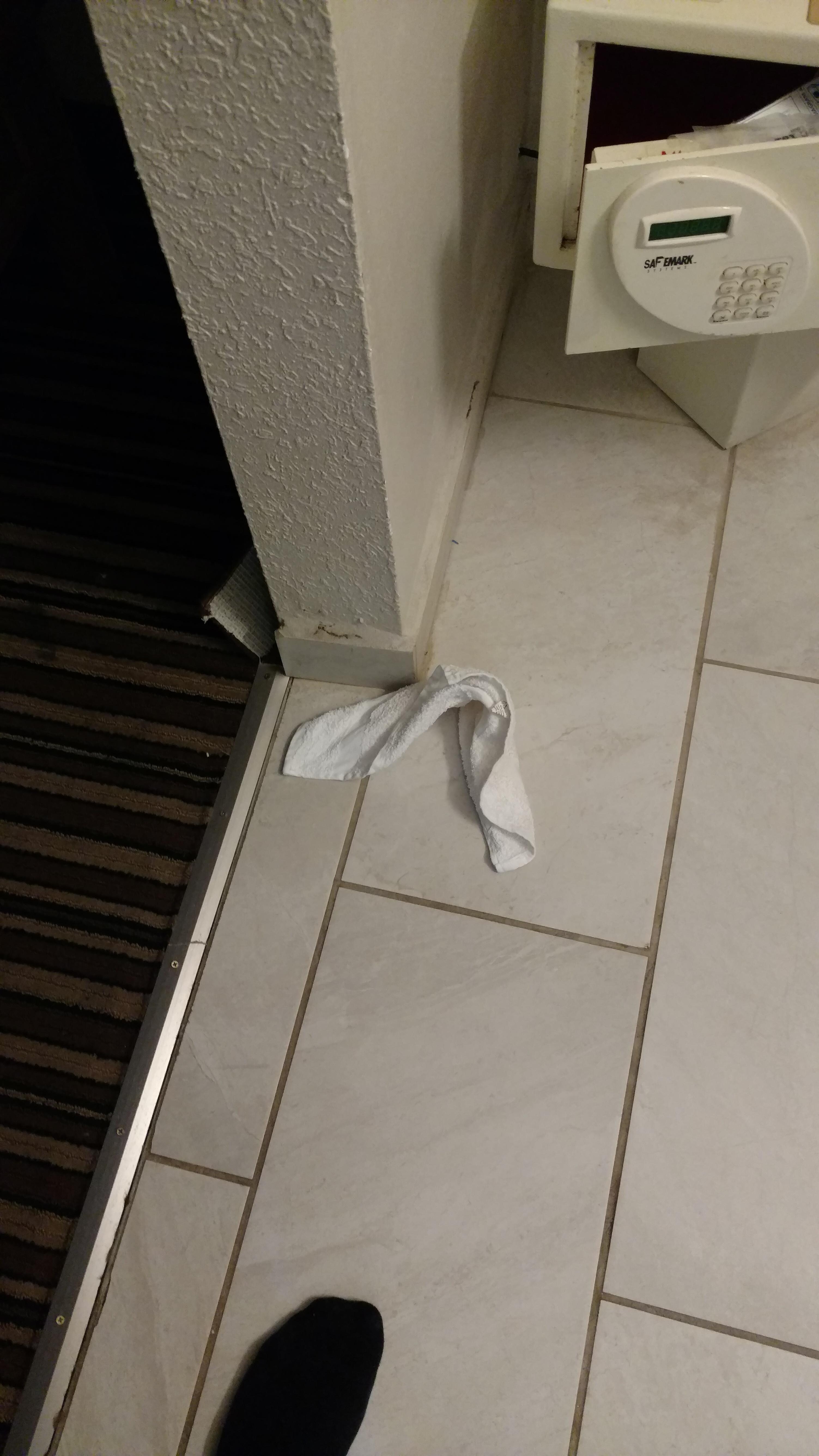 Old wash cloth that was on the shower rod!