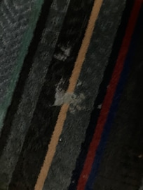 Carpet appeared very used and unclean