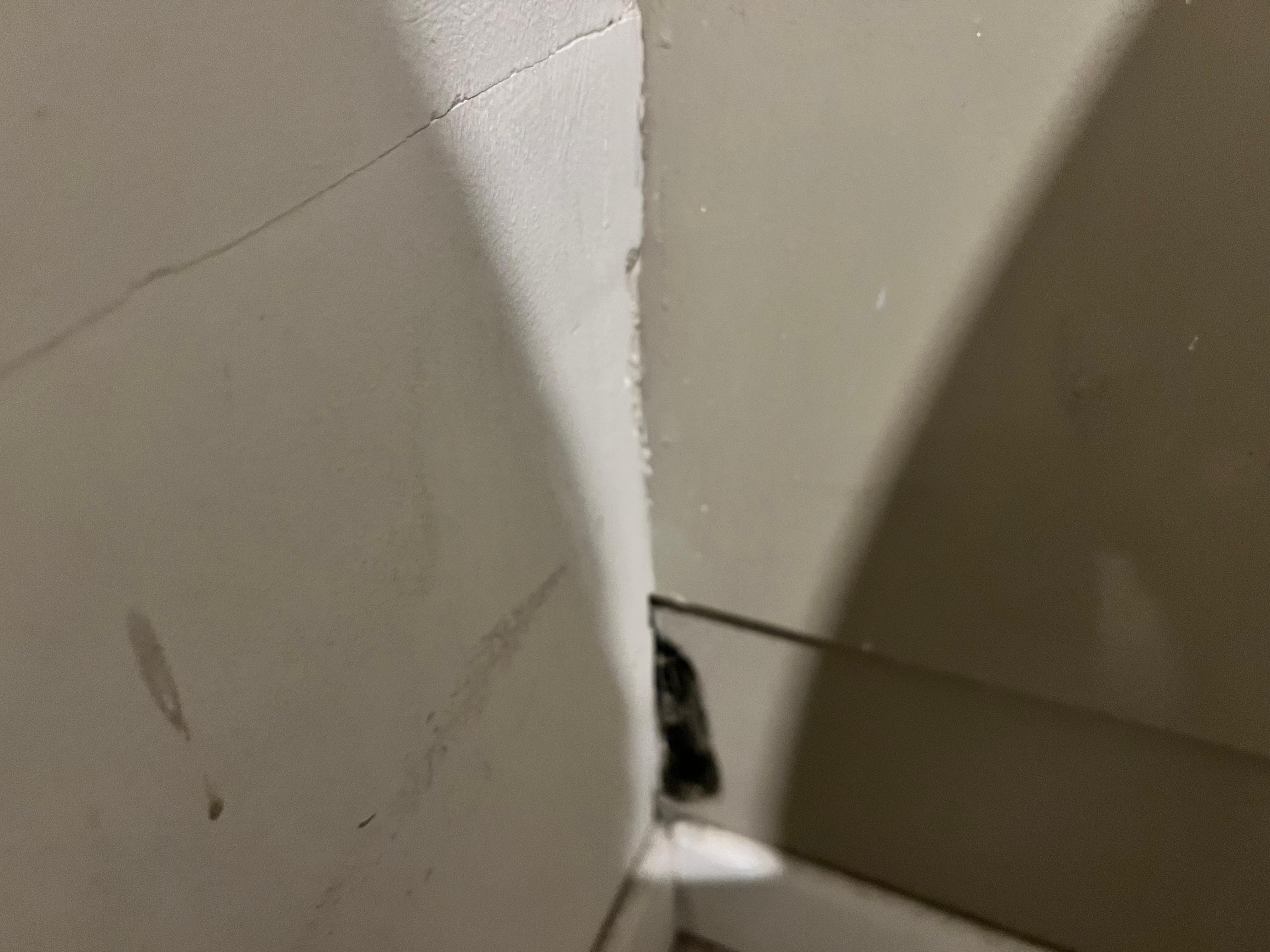 Black mold in bathroom