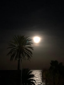 A chance to have a fabulous fool moon picture accompanying my going out 🤩