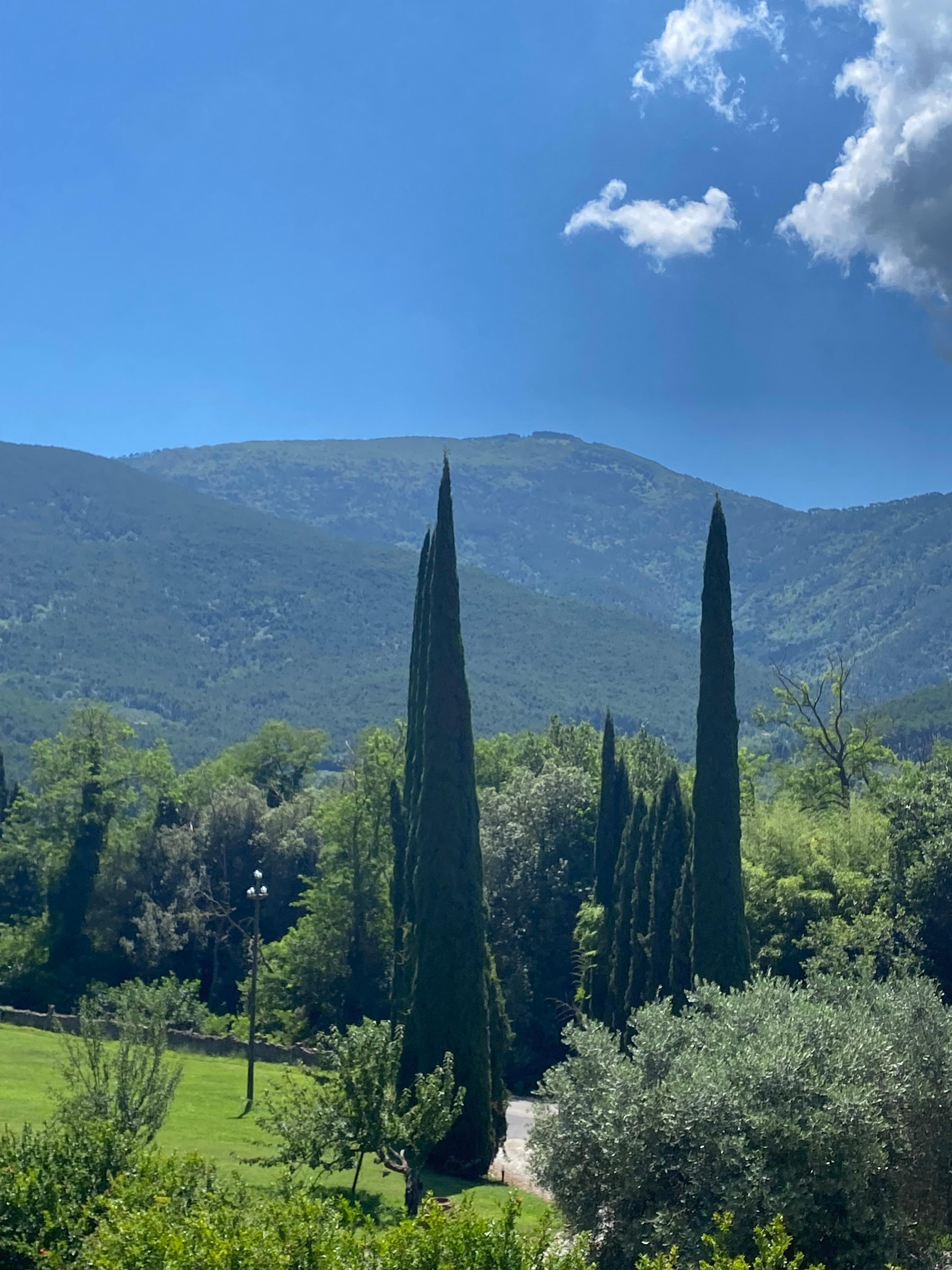 View from the terrace 