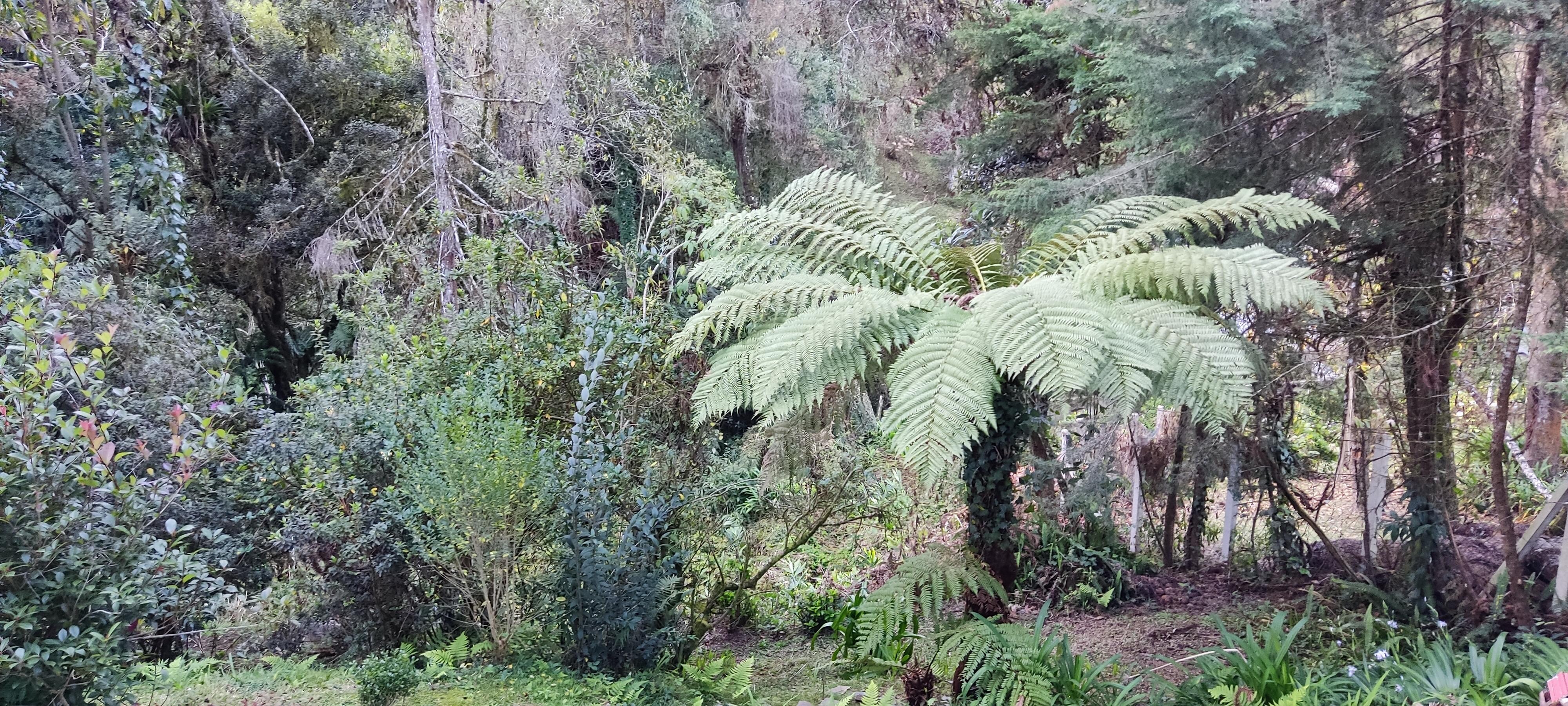 Vista da sacada do quarto.