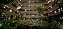 Le grand hall vue du jardin intérieur