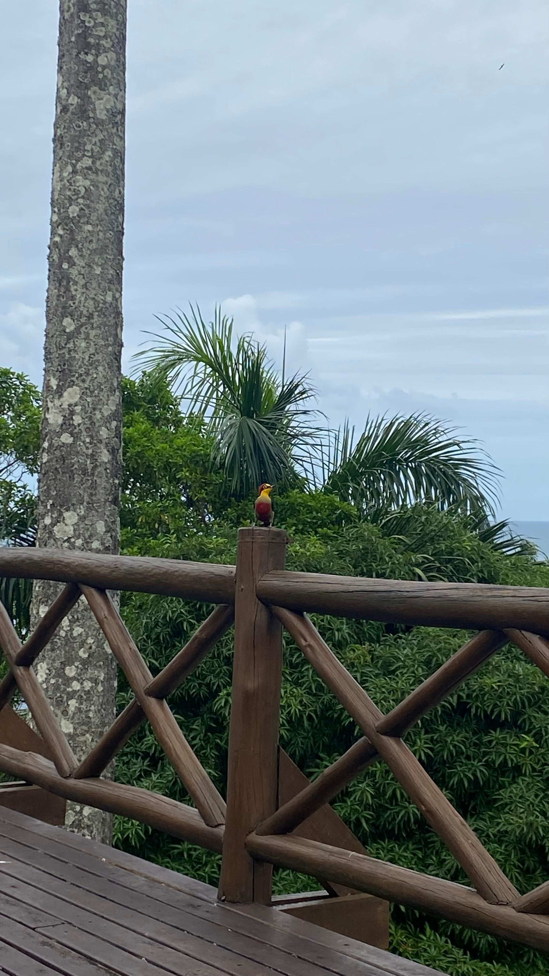 Vista da sala de convivência.