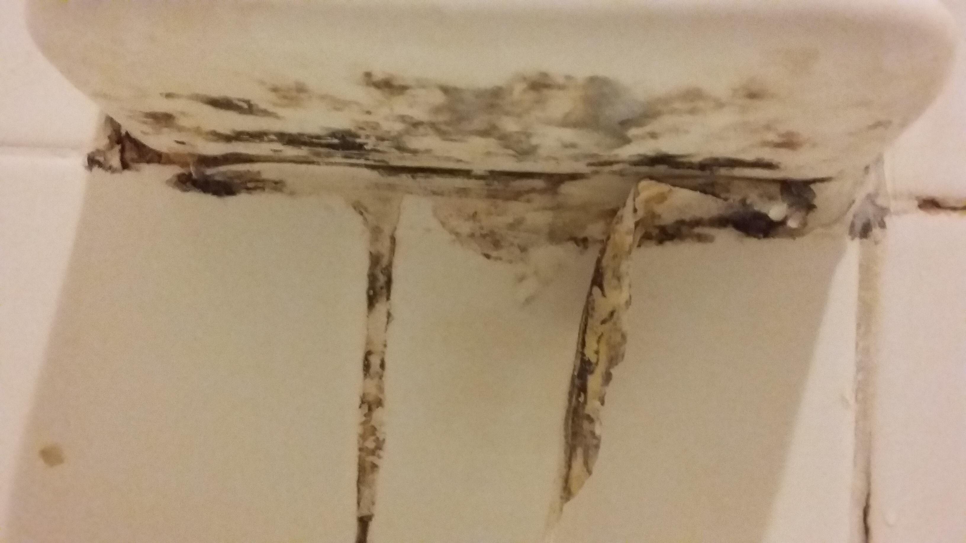 Soap dish in the tub