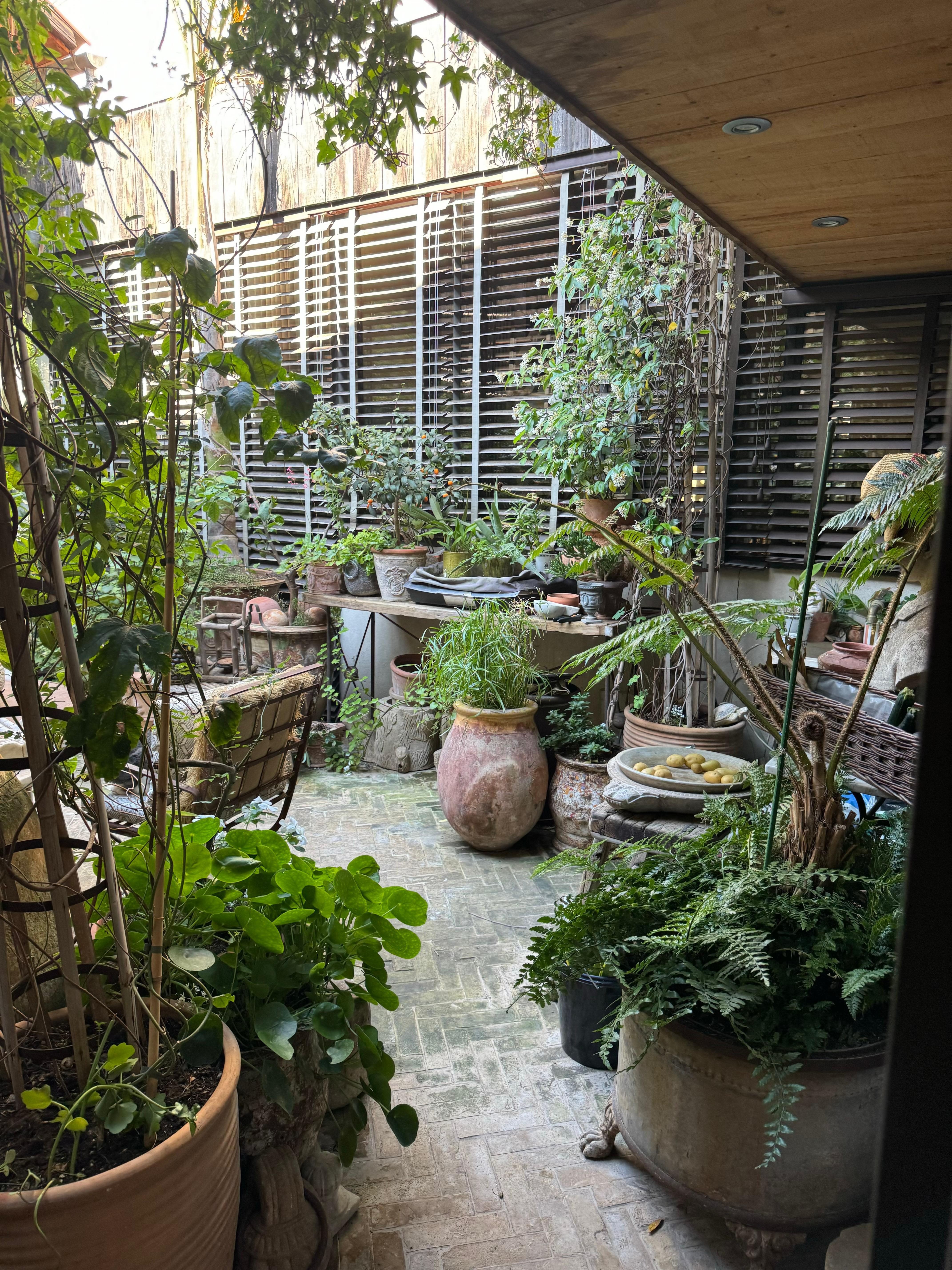 Patio