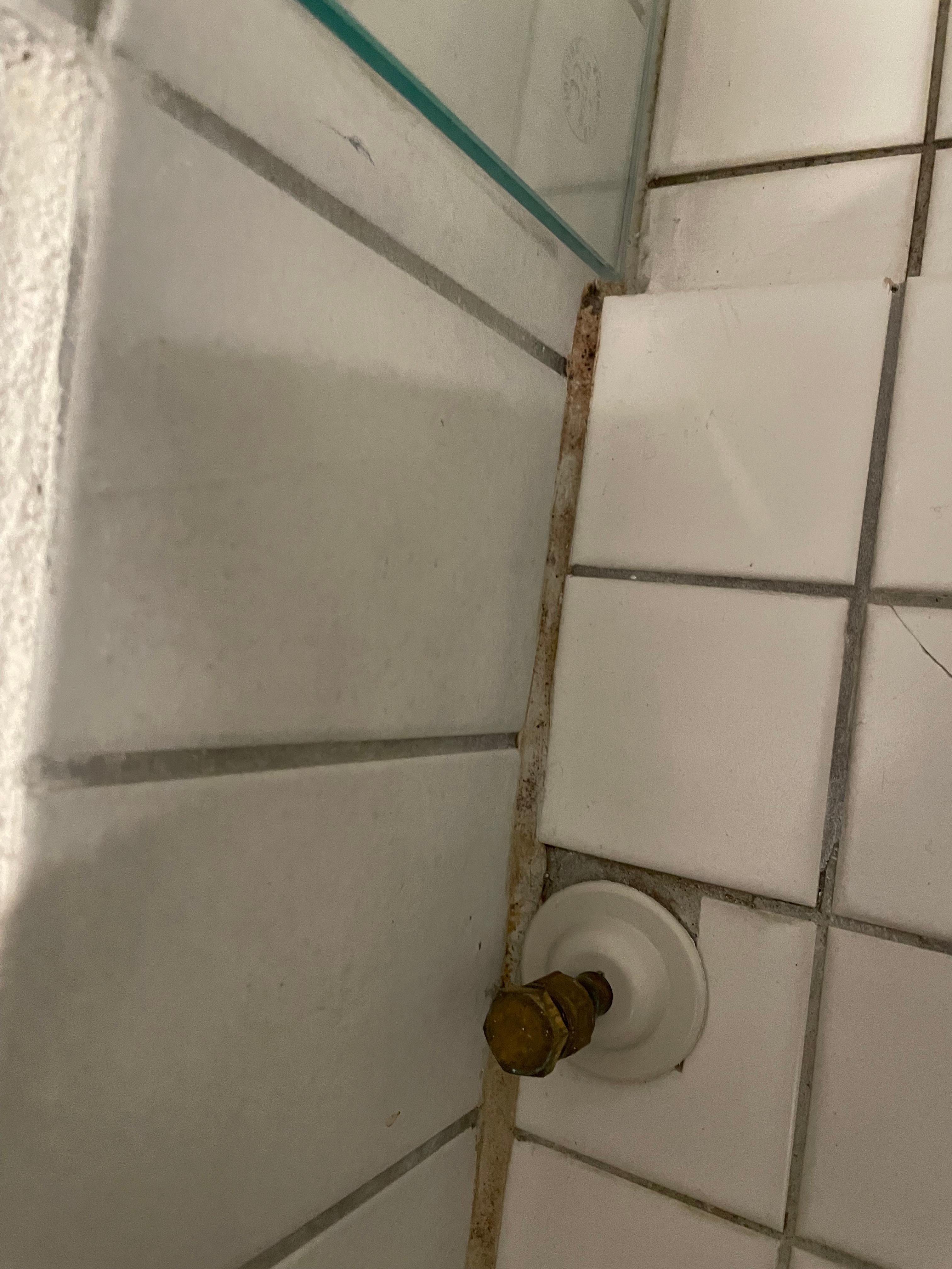 Mold in bathroom