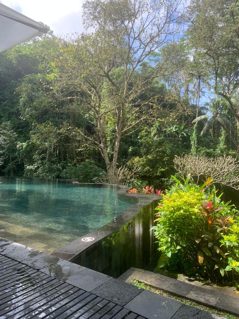 Piscine de l’hôtel 