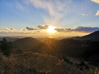 展望台からの景色