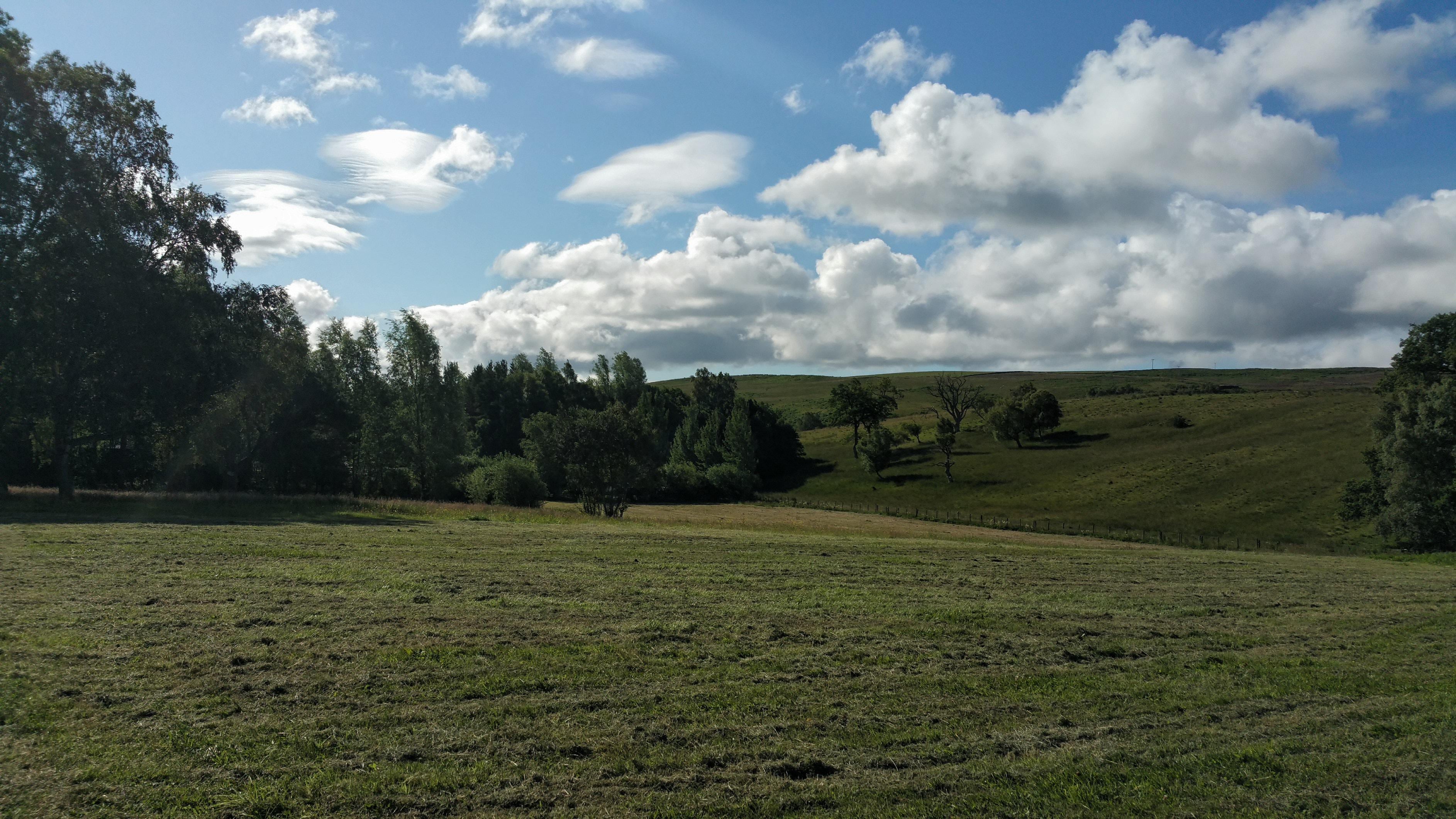 Our morning cuppa view 