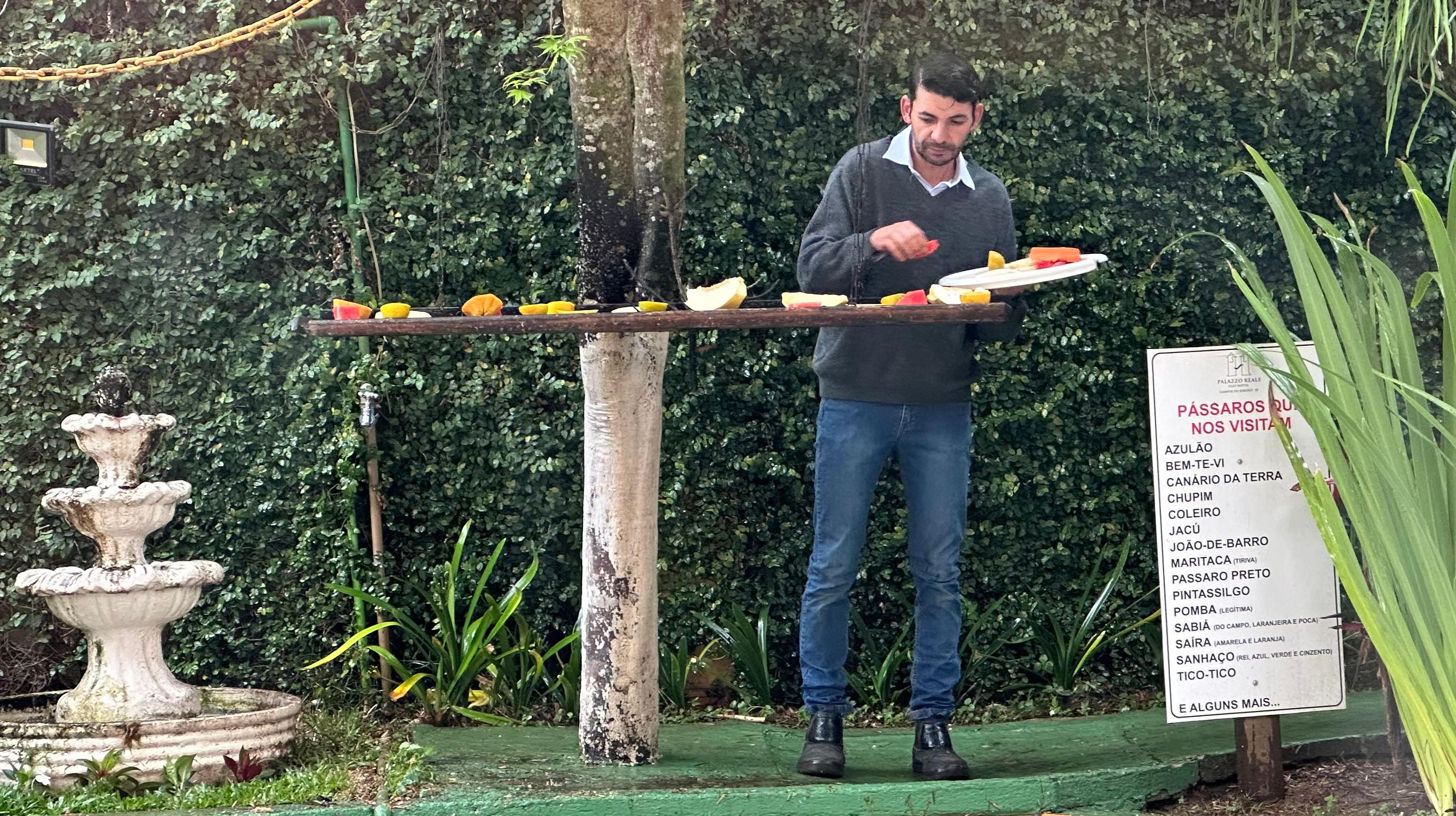 Meticulous laying out of bird breakfast, imagine how guests are served 🌝