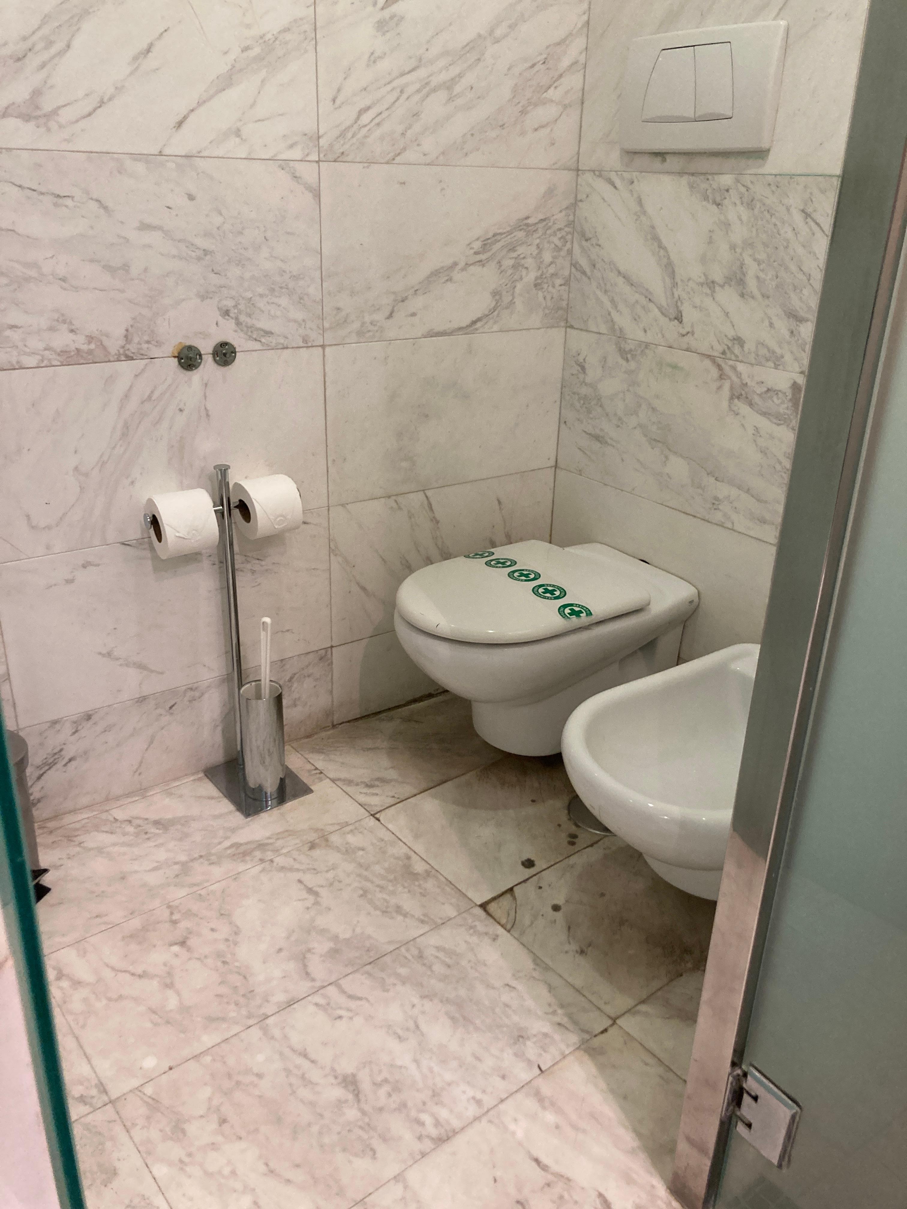 Stained and damaged tiles in the toilet. Old toilet paper holder bracket still on the wall