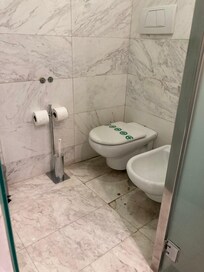 Stained and damaged tiles in the toilet. Old toilet paper holder bracket still on the wall