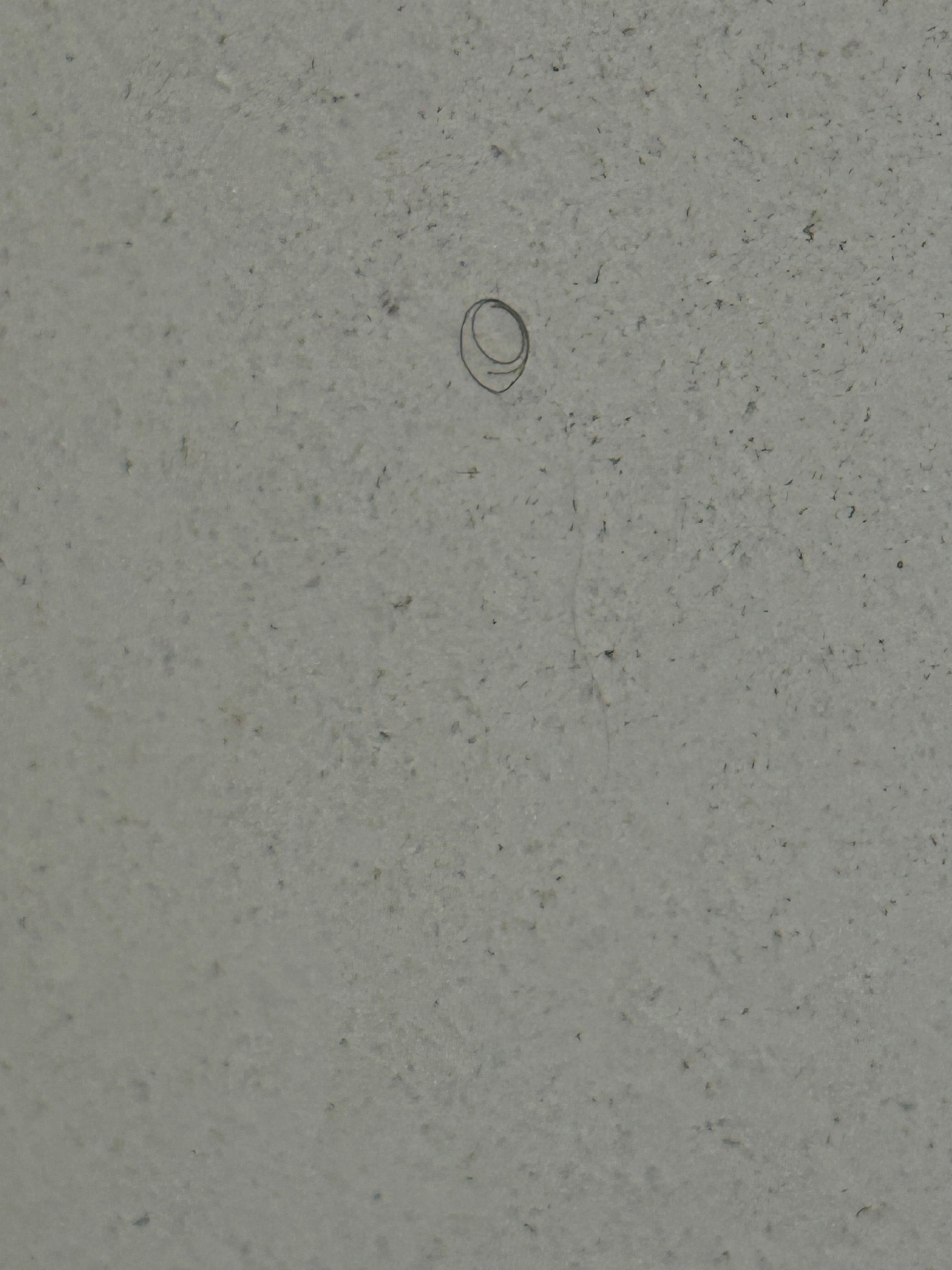 Hair in shower
