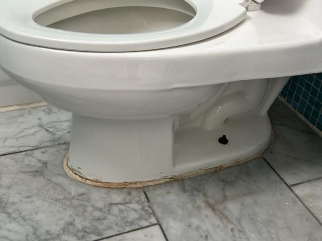 filthy toilet