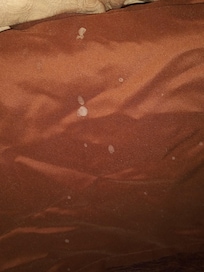 Milk spots on bed skirts