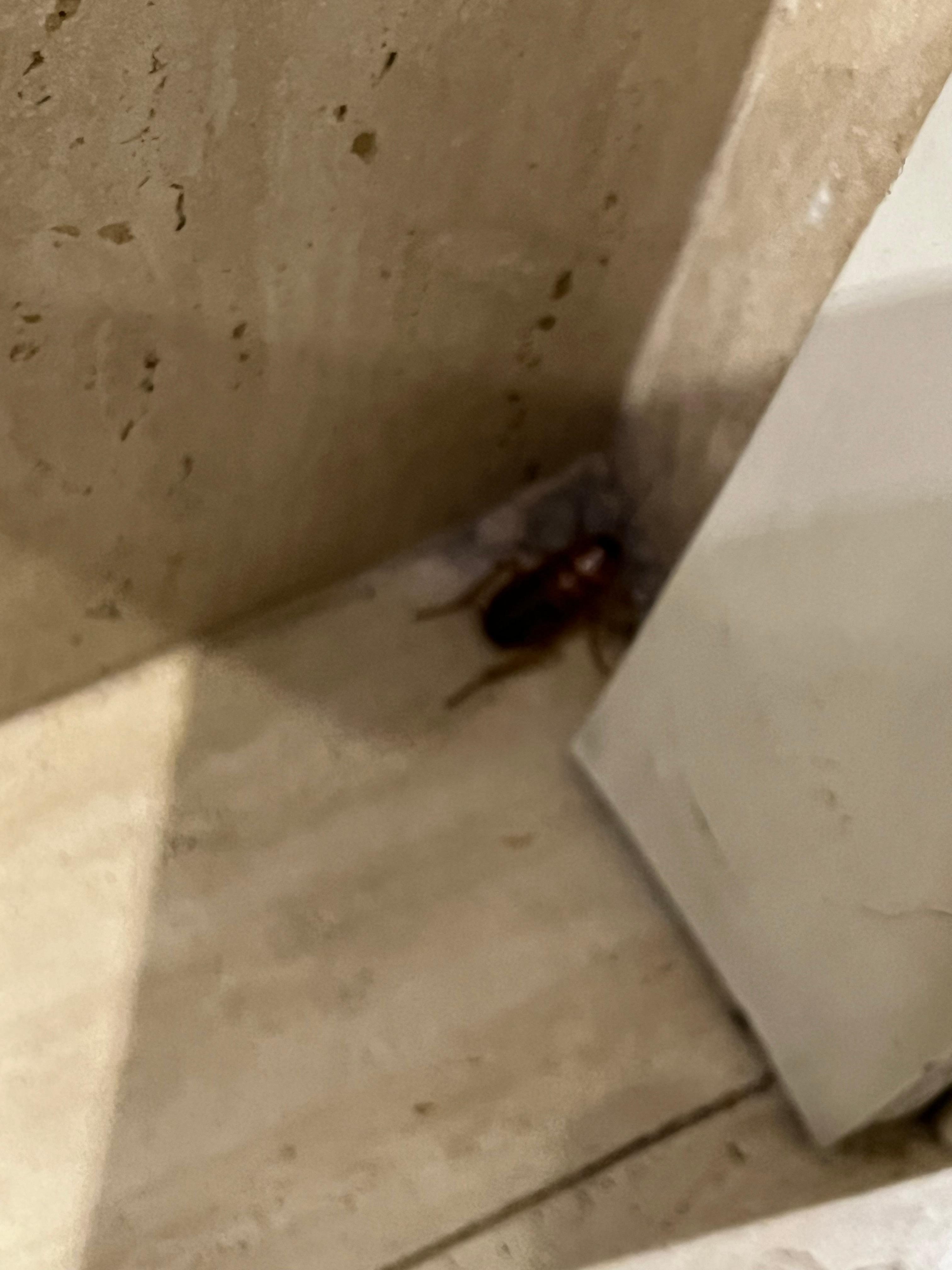 Fant noen sånne som ventet på oss