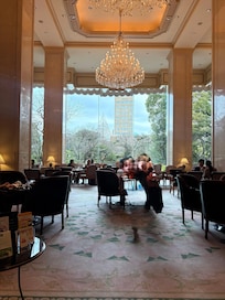 Garden lounge is a treat to sit in