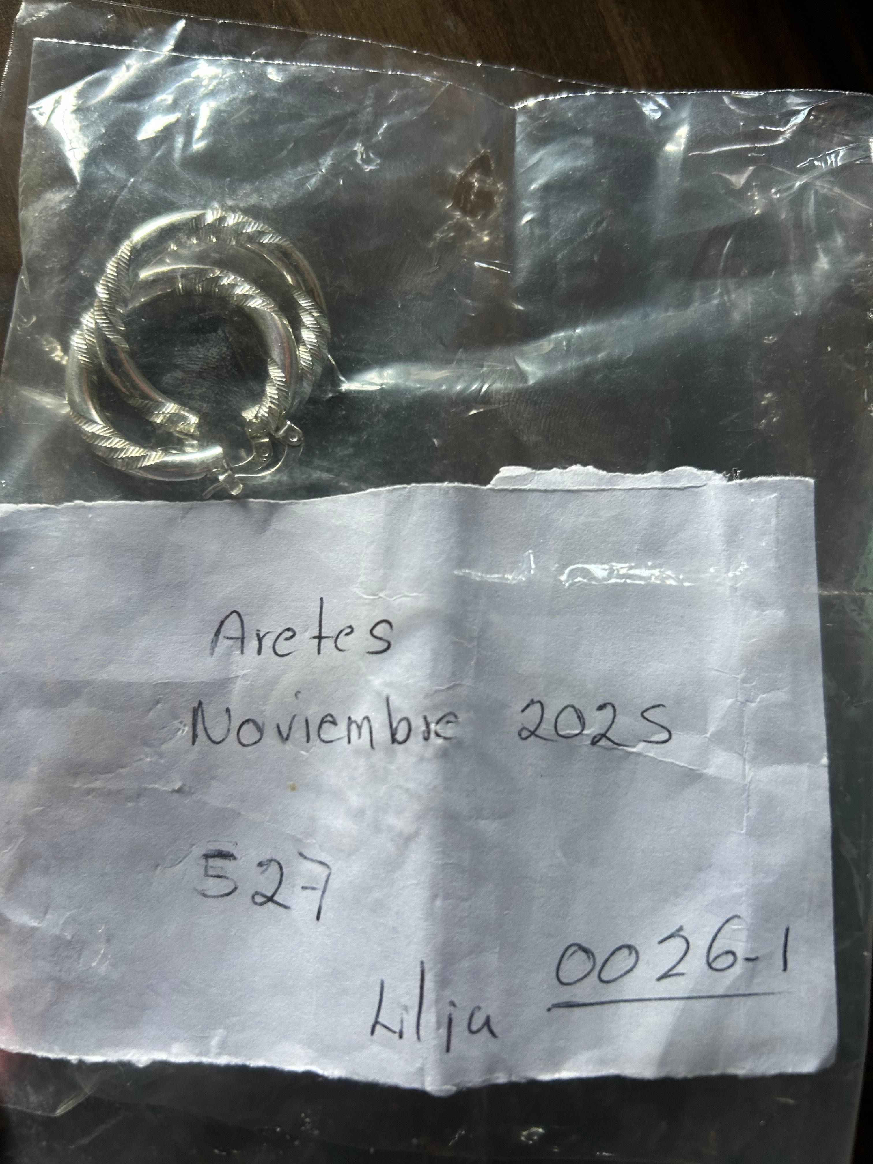 My forgone earrings were kept safe until I returned. Ty LILIA0026-1