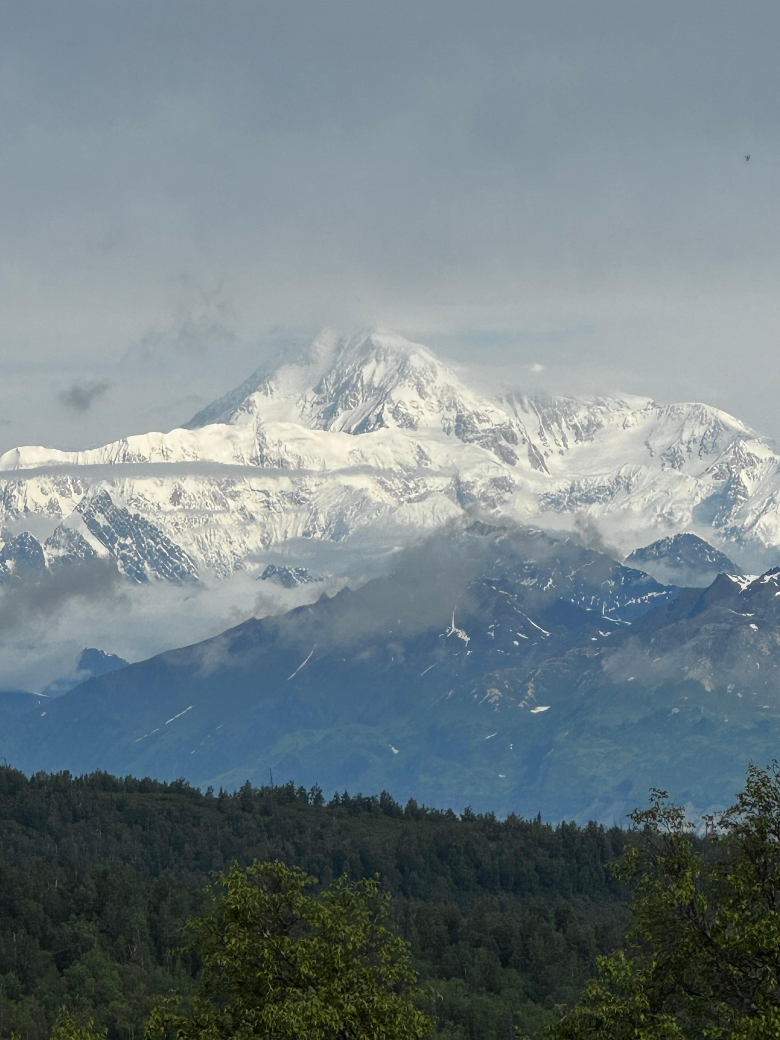 View of Denali from the Treehouse 
