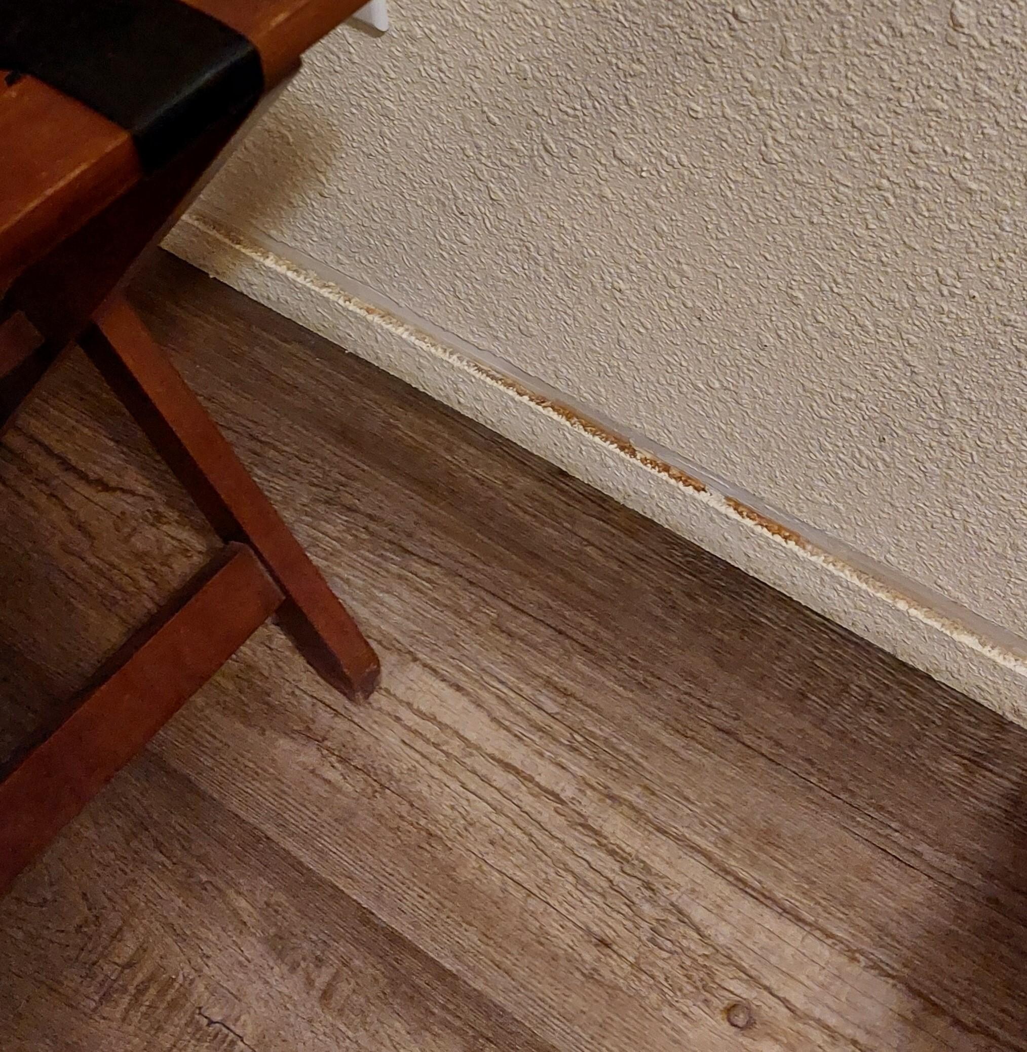 mystery grunge on baseboards - a whole cup of coffee? The corners were all dusty and grungy also