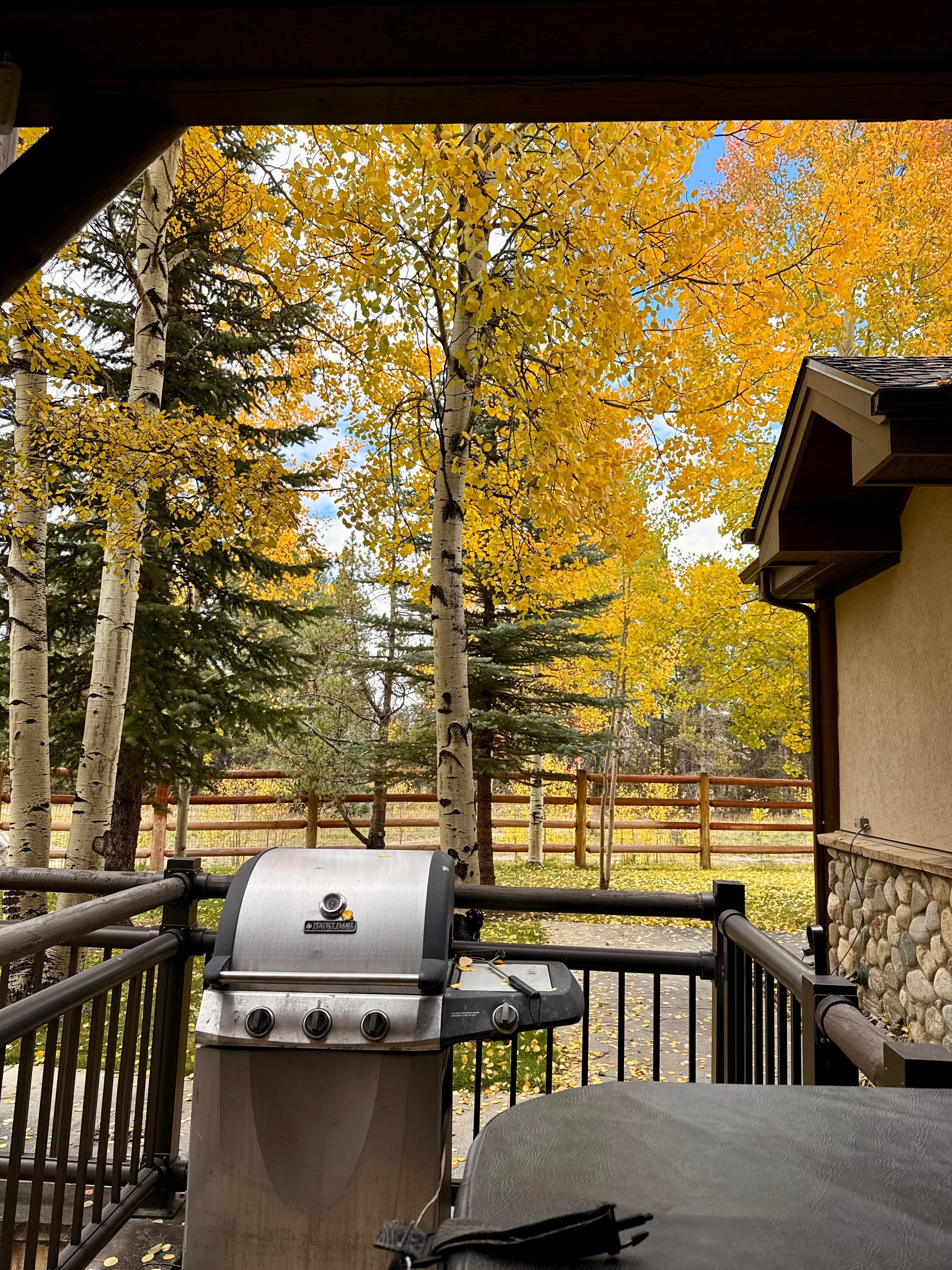 The view from the back door, grill & hot tub ready for use!