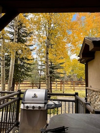 The view from the back door, grill & hot tub ready for use!