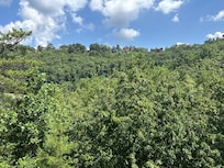 View from the top deck