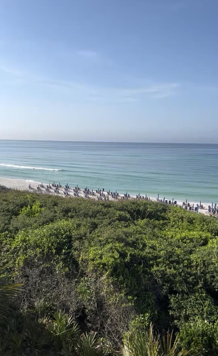 beautiful view to wake up to