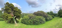 Stunning Grounds