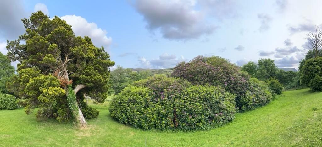 Stunning Grounds