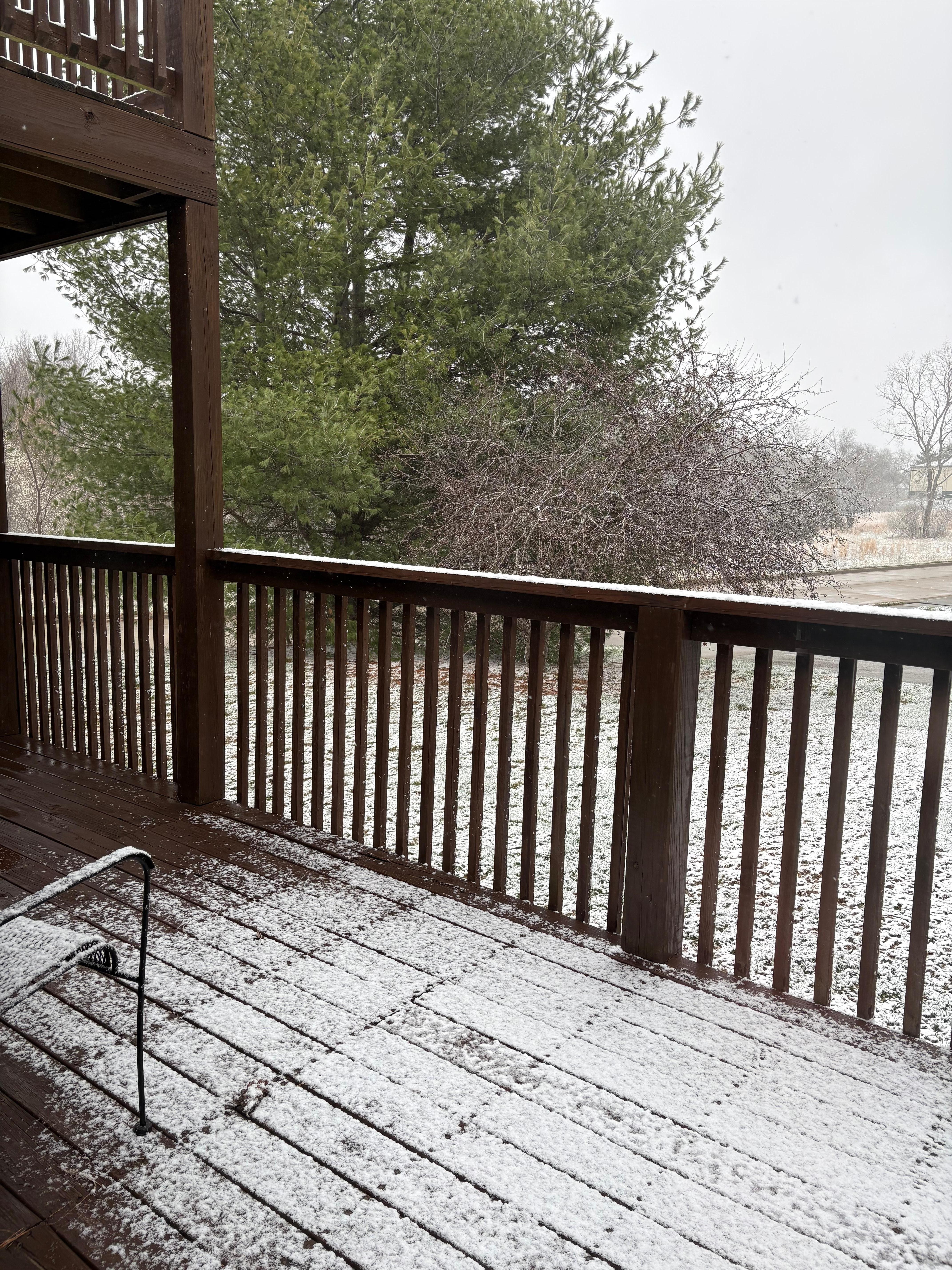 March??? Yep, snow & freezing. Pretty sight & shortlived. 