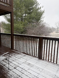 March??? Yep, snow & freezing. Pretty sight & shortlived.
