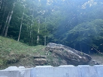 View from back porch.