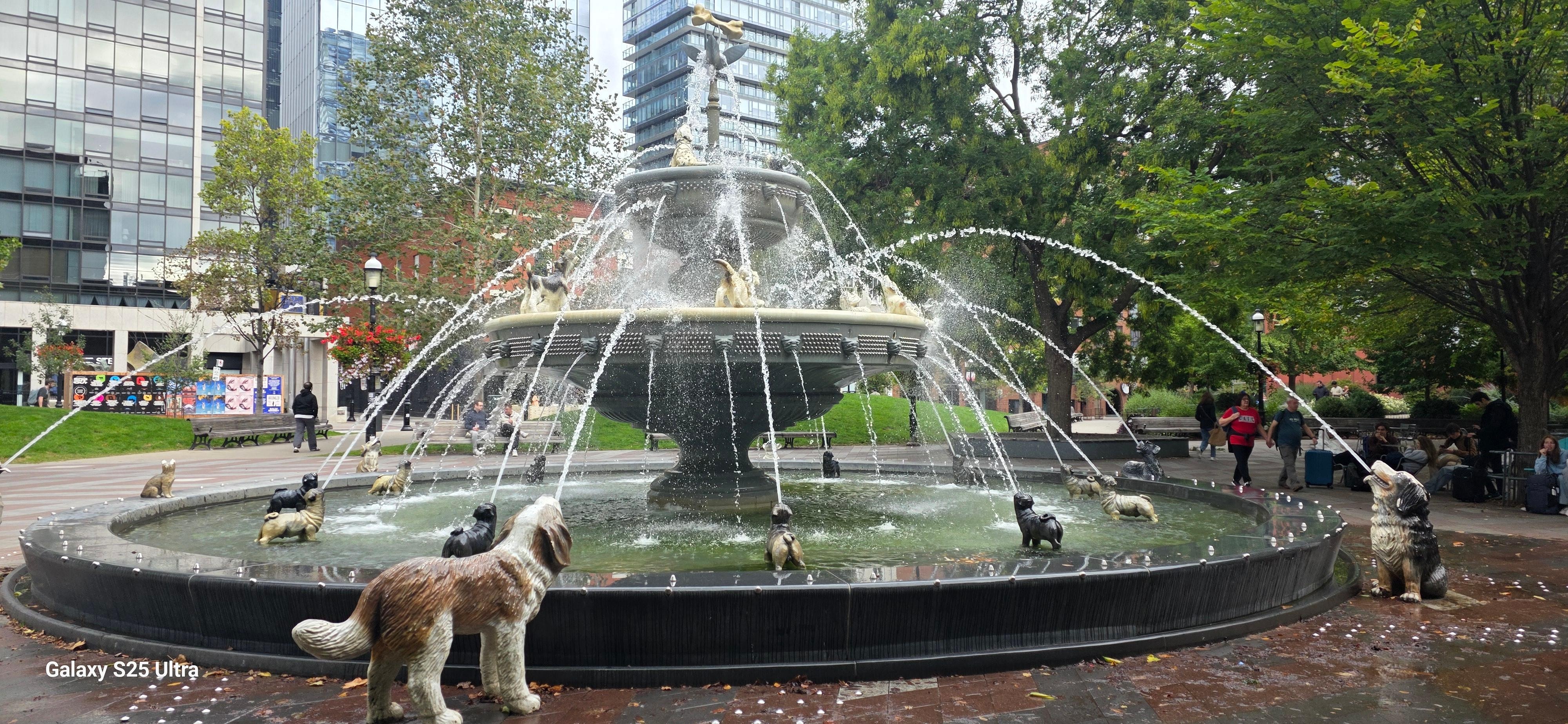 the amazing park walking distance from hotel and across from underground parking. 