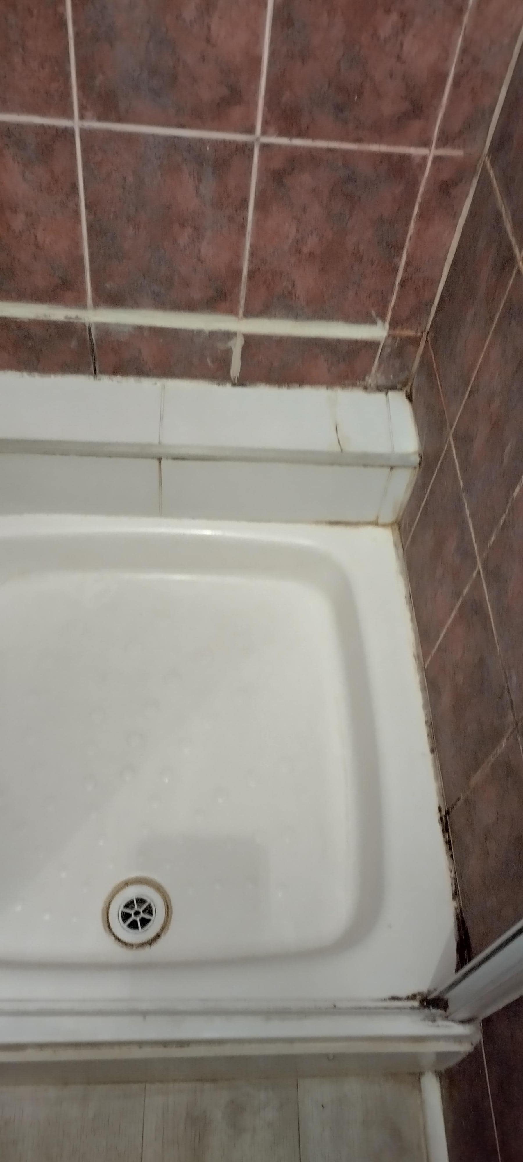 The shower tray was filthy and the edges were covered in filth and mould.