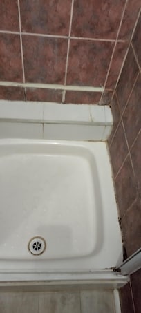 The shower tray was filthy and the edges were covered in filth and mould.