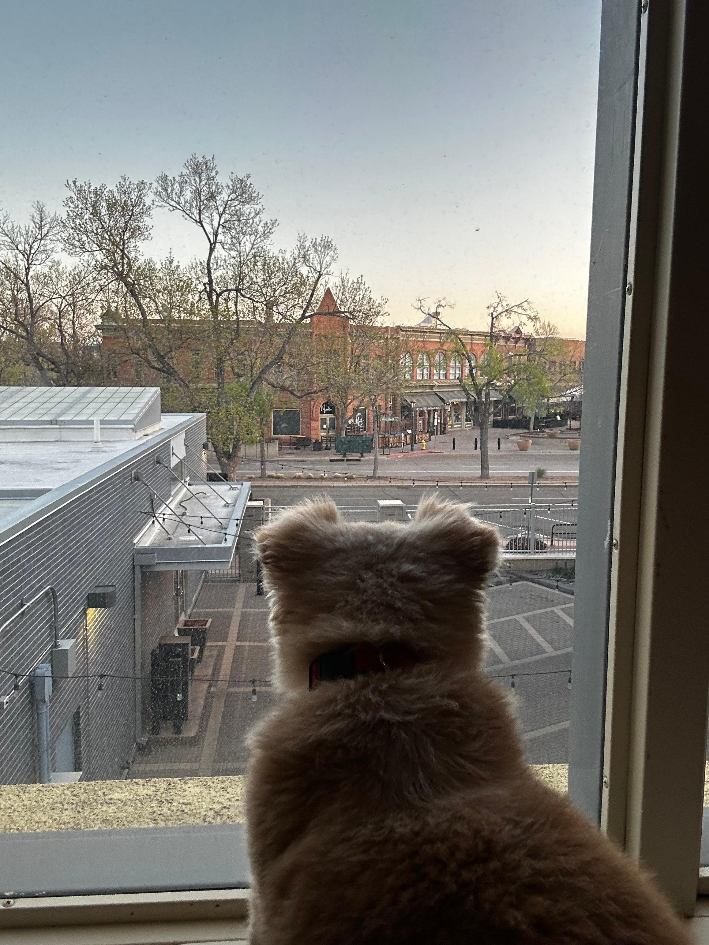 Enjoying the view of the walking district from the second floor apartment. 