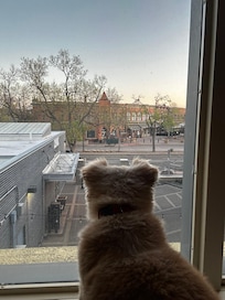 Enjoying the view of the walking district from the second floor apartment.