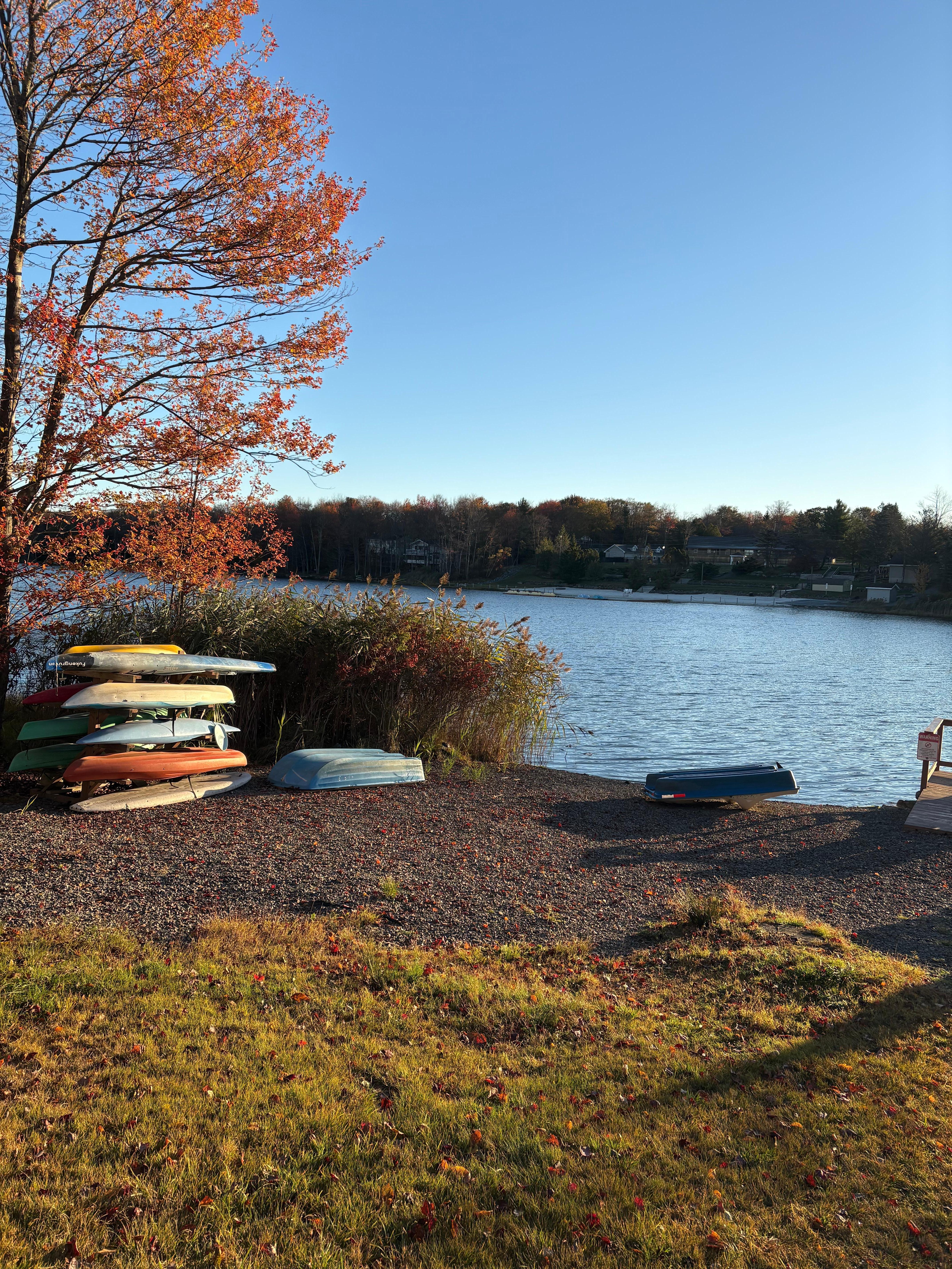 Lake view at sunrise